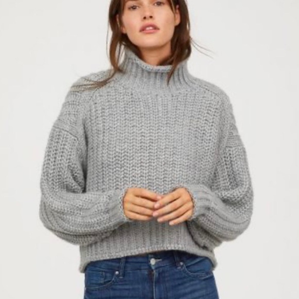 H&M Chunky Knit Cropped Turtleneck Sweater